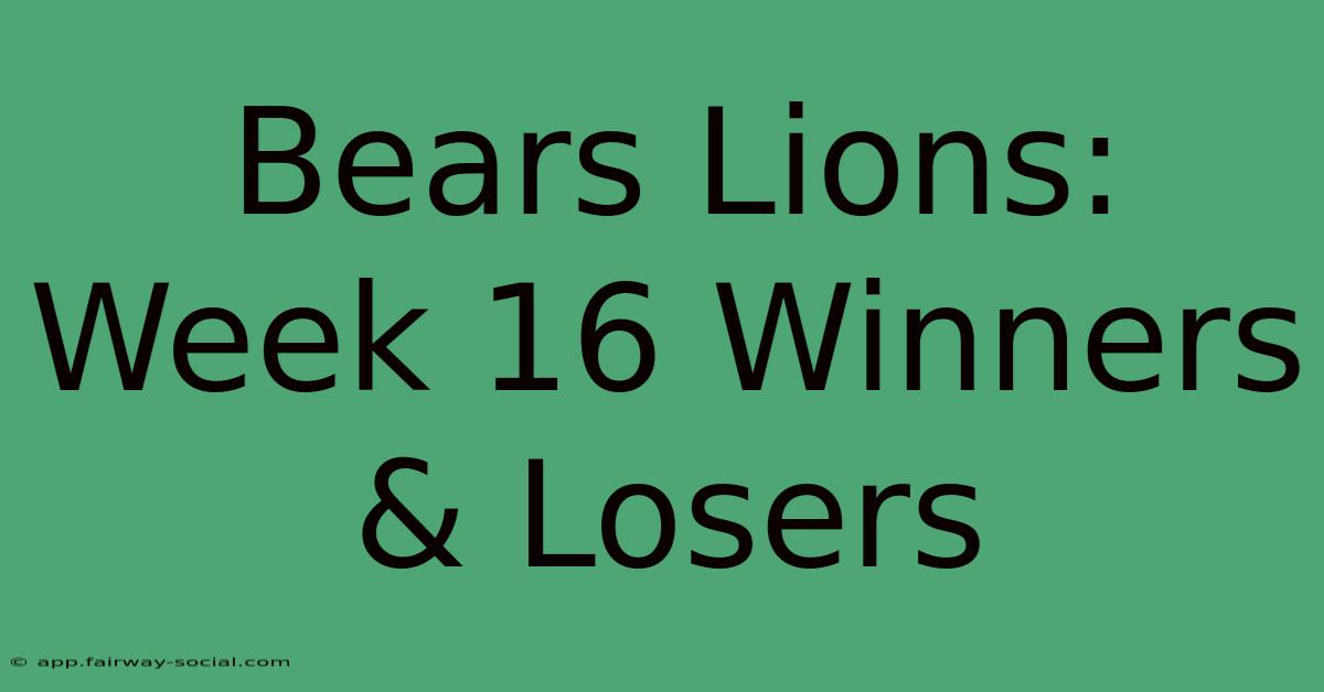 Bears Lions: Week 16 Winners & Losers