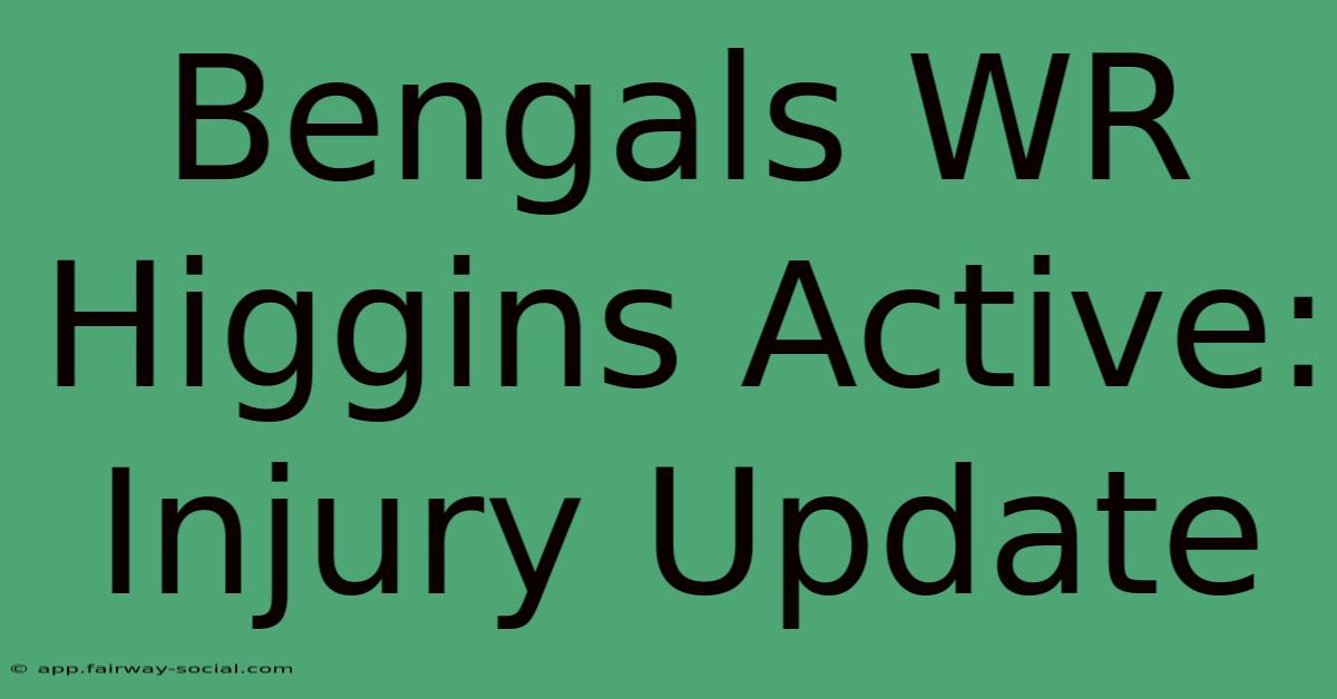 Bengals WR Higgins Active: Injury Update