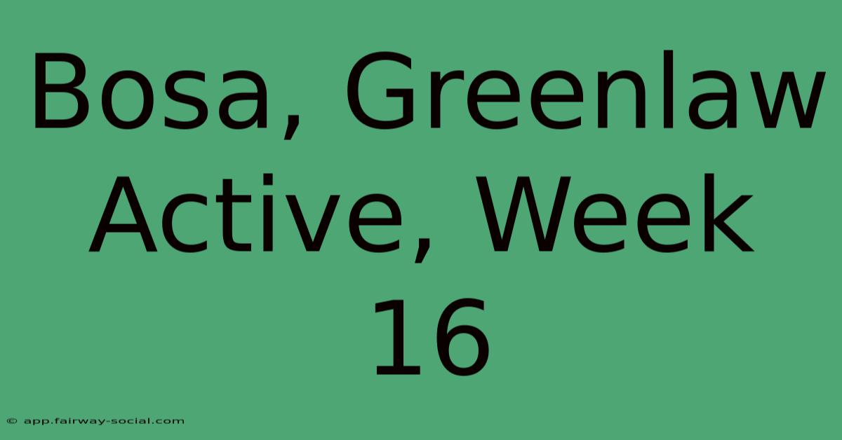 Bosa, Greenlaw Active, Week 16