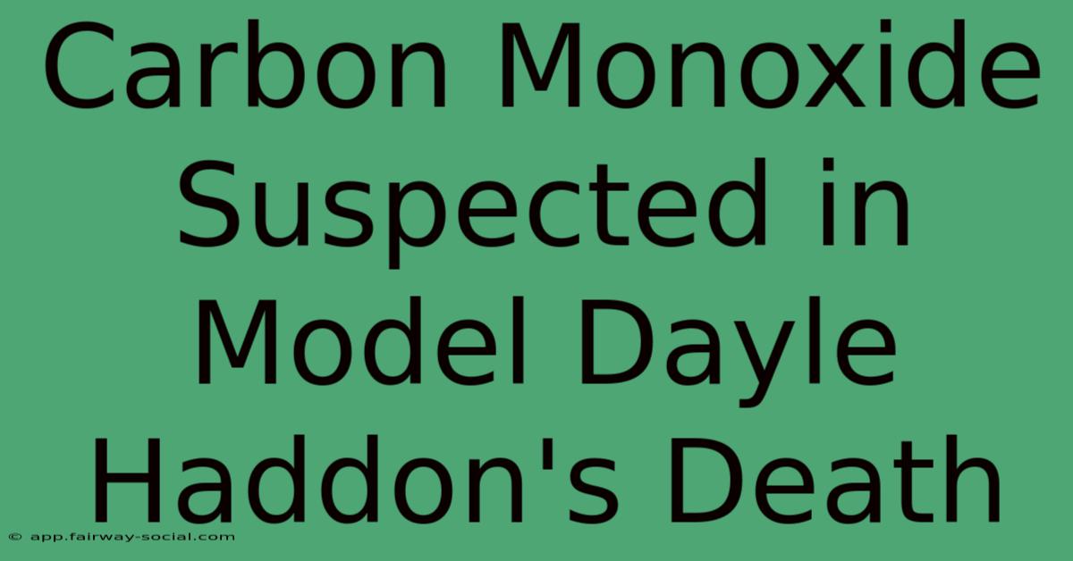 Carbon Monoxide Suspected In Model Dayle Haddon's Death