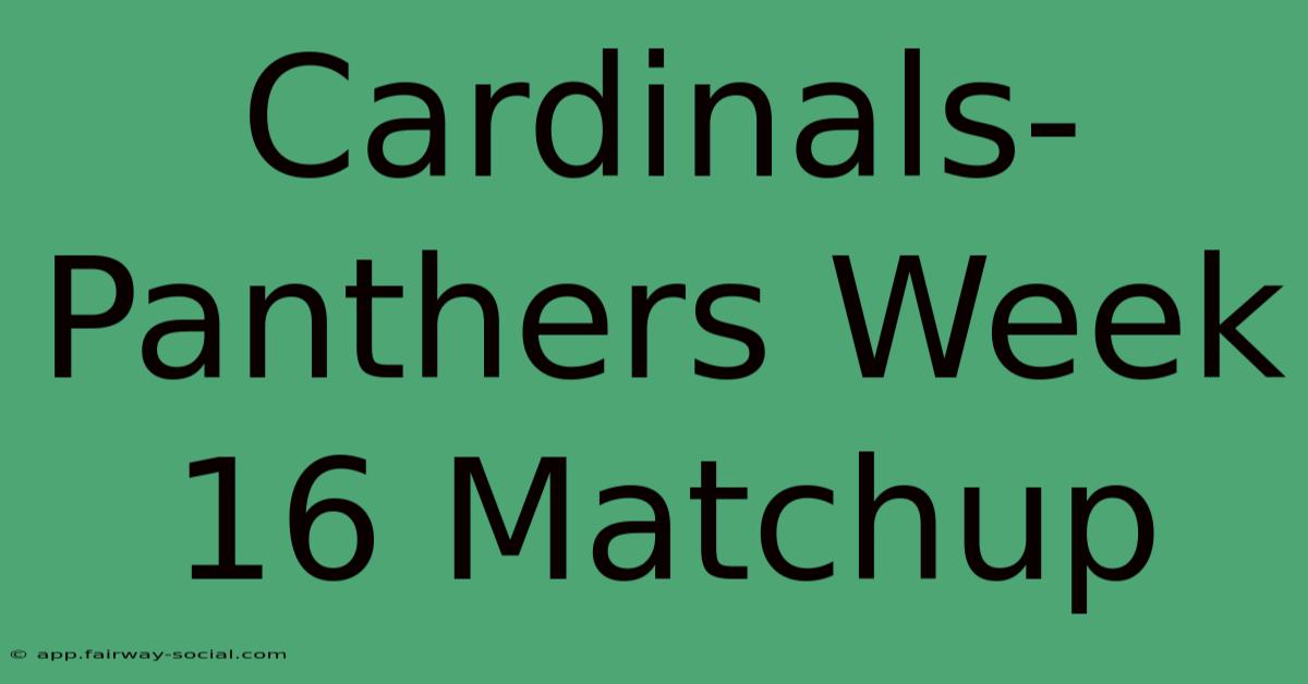 Cardinals-Panthers Week 16 Matchup