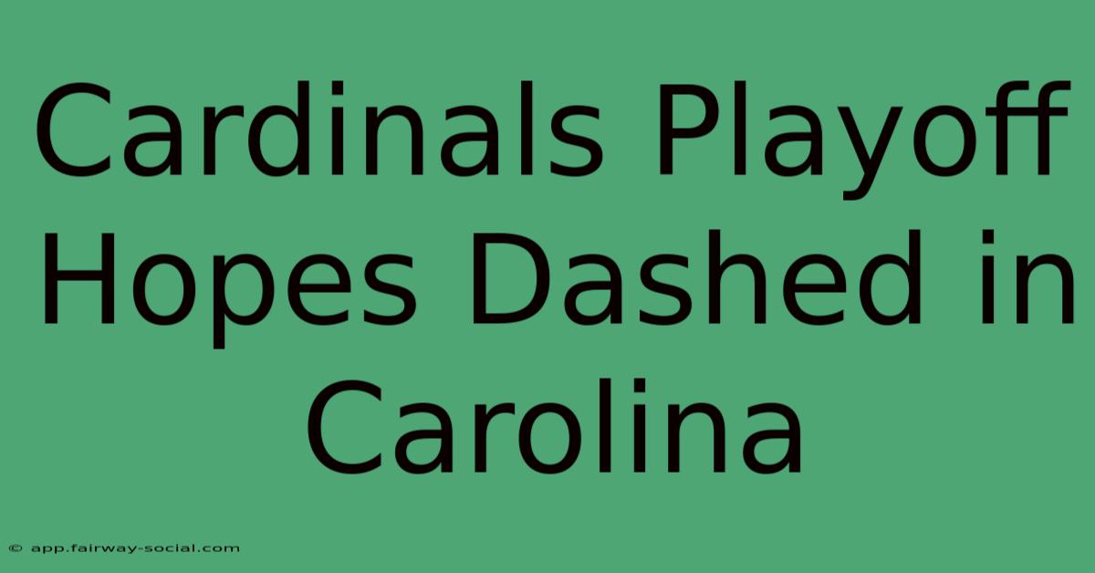 Cardinals Playoff Hopes Dashed In Carolina