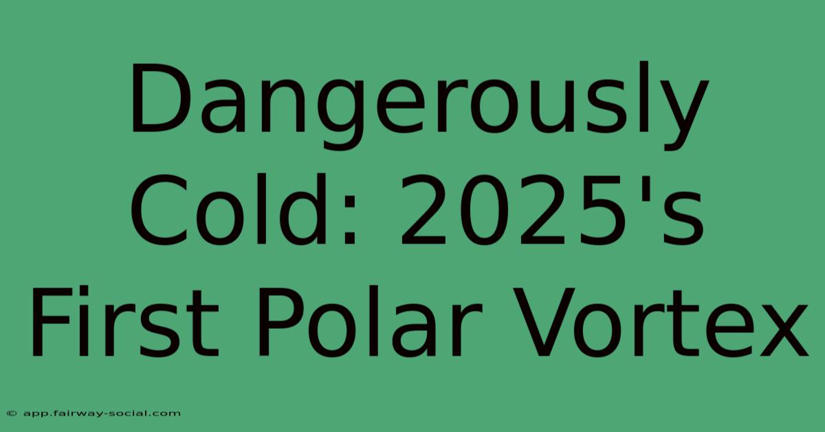 Dangerously Cold: 2025's First Polar Vortex