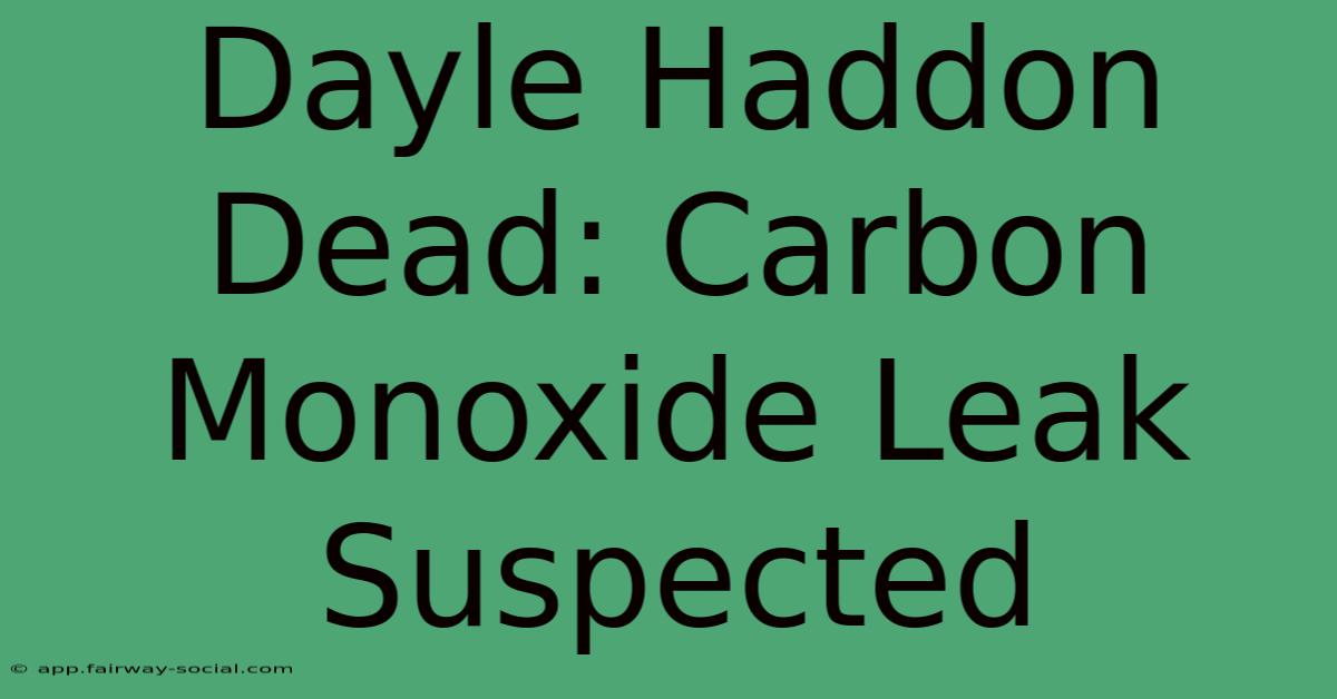 Dayle Haddon Dead: Carbon Monoxide Leak Suspected