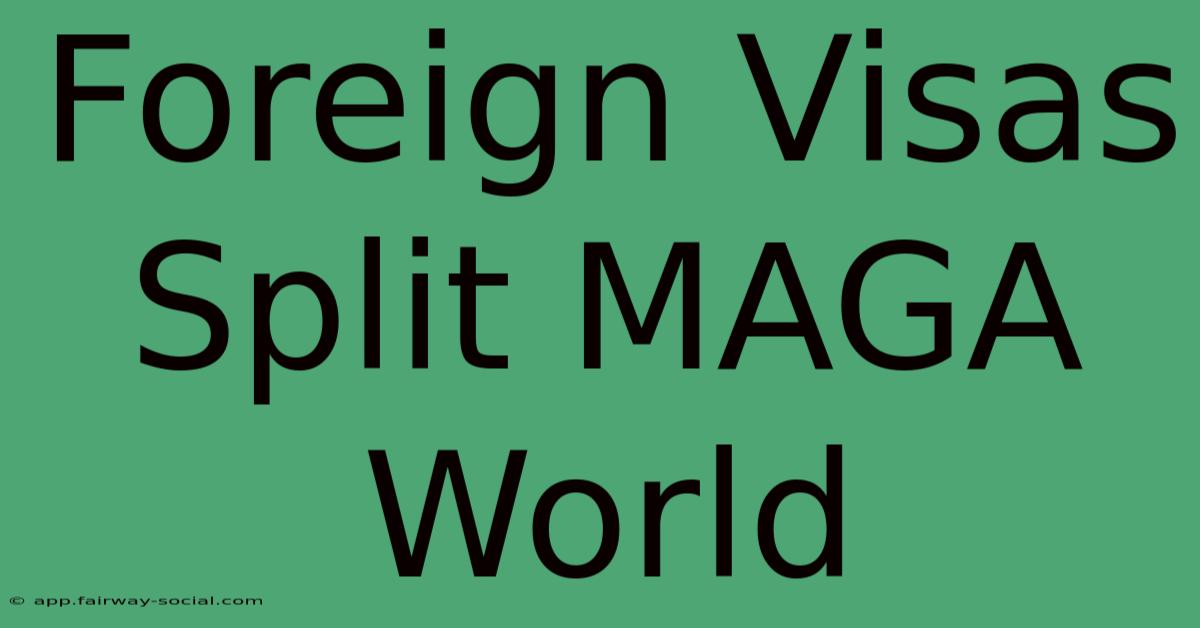 Foreign Visas Split MAGA World