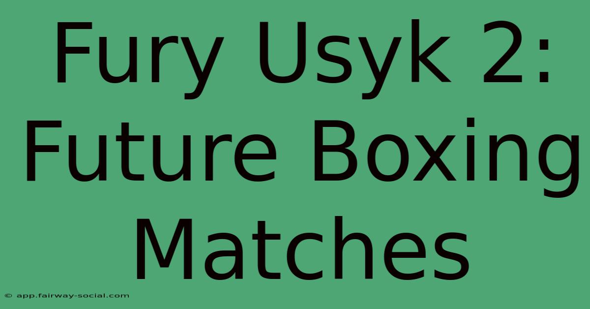 Fury Usyk 2: Future Boxing Matches