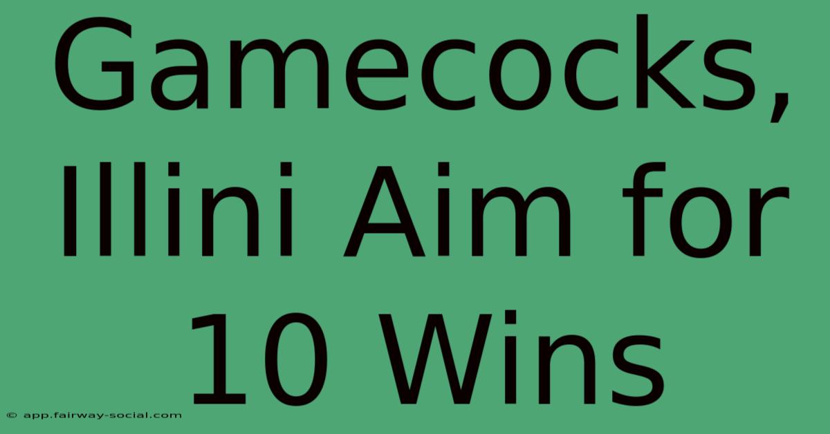 Gamecocks, Illini Aim For 10 Wins