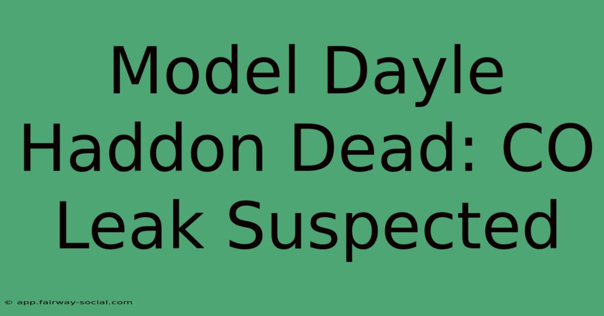 Model Dayle Haddon Dead: CO Leak Suspected