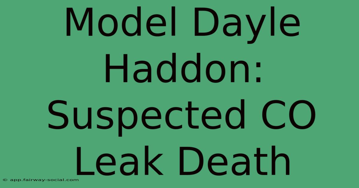 Model Dayle Haddon: Suspected CO Leak Death