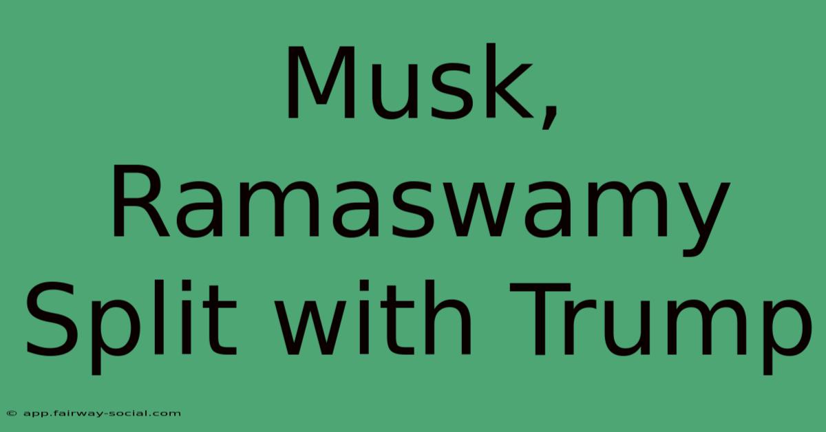 Musk, Ramaswamy Split With Trump