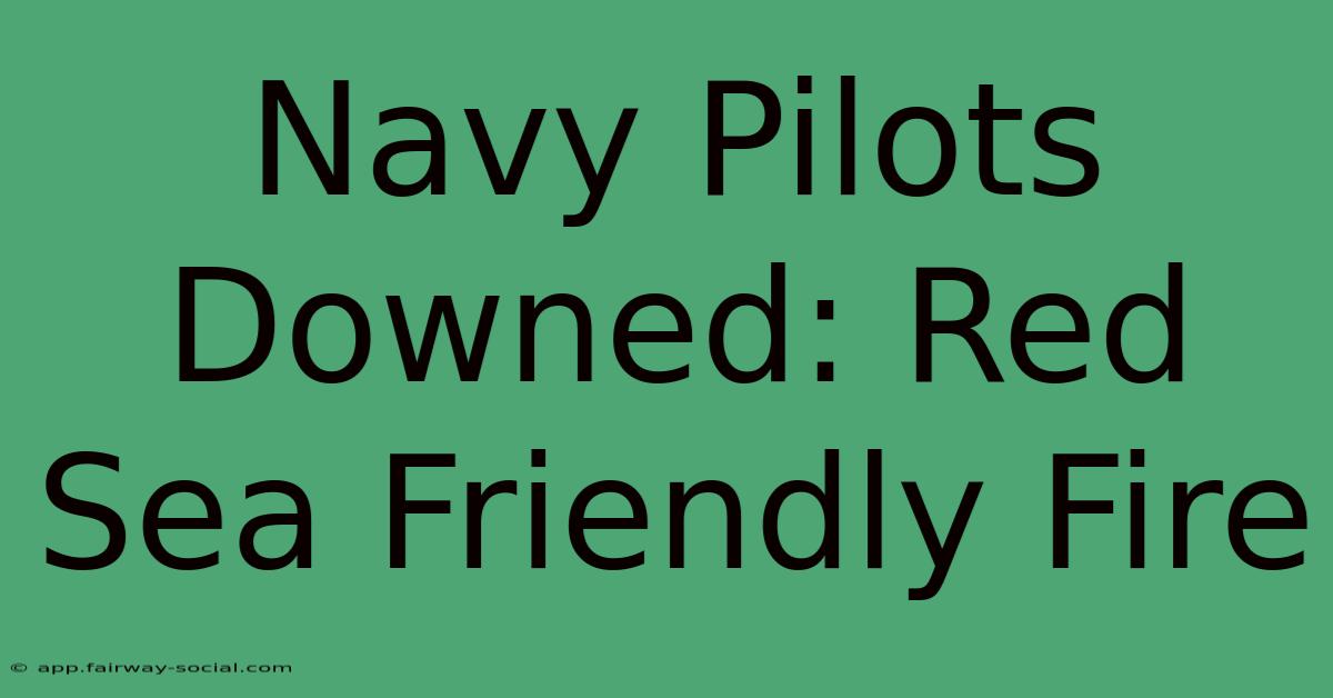 Navy Pilots Downed: Red Sea Friendly Fire