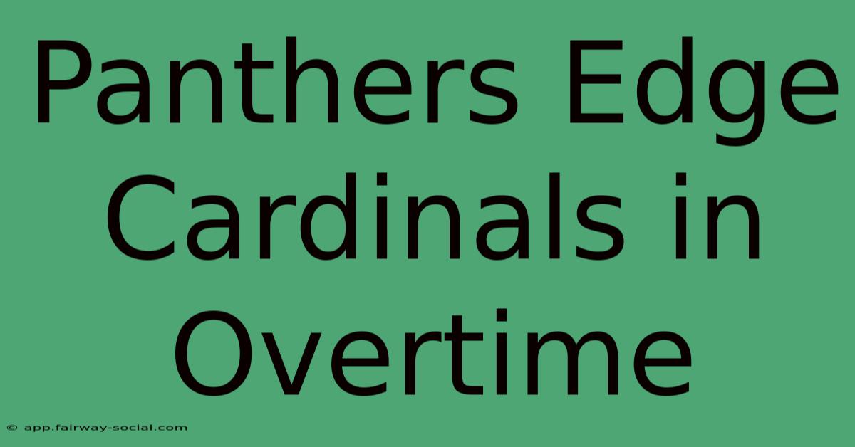 Panthers Edge Cardinals In Overtime