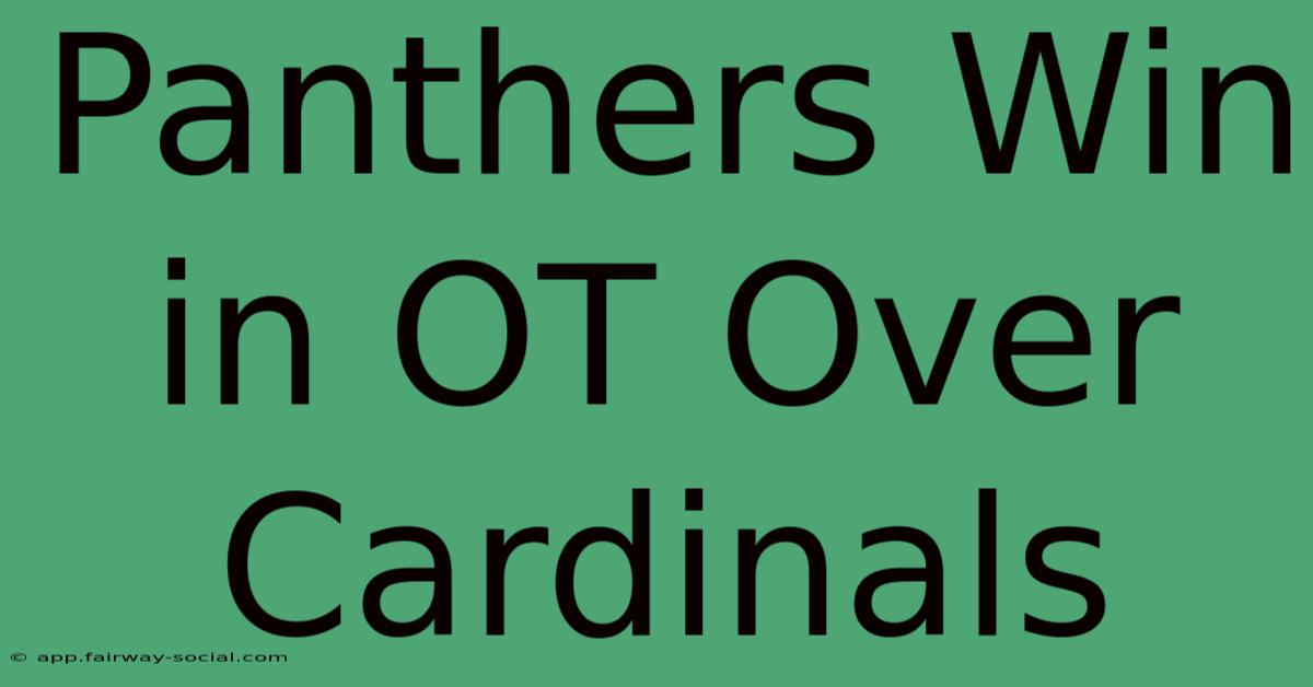 Panthers Win In OT Over Cardinals