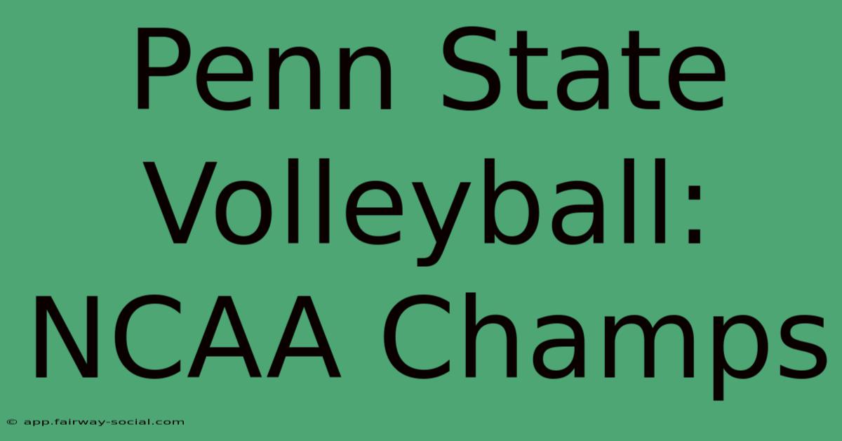 Penn State Volleyball: NCAA Champs