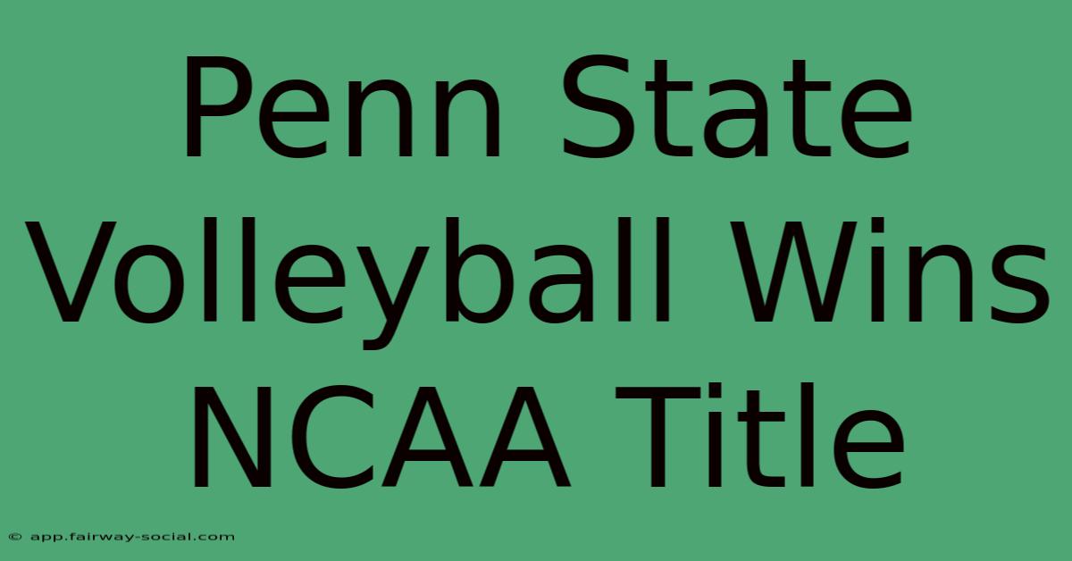 Penn State Volleyball Wins NCAA Title