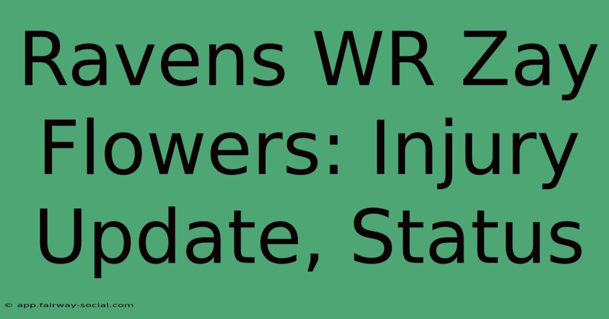 Ravens WR Zay Flowers: Injury Update, Status