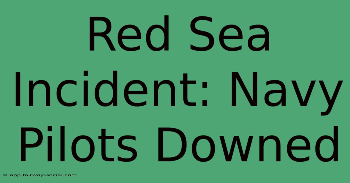 Red Sea Incident: Navy Pilots Downed