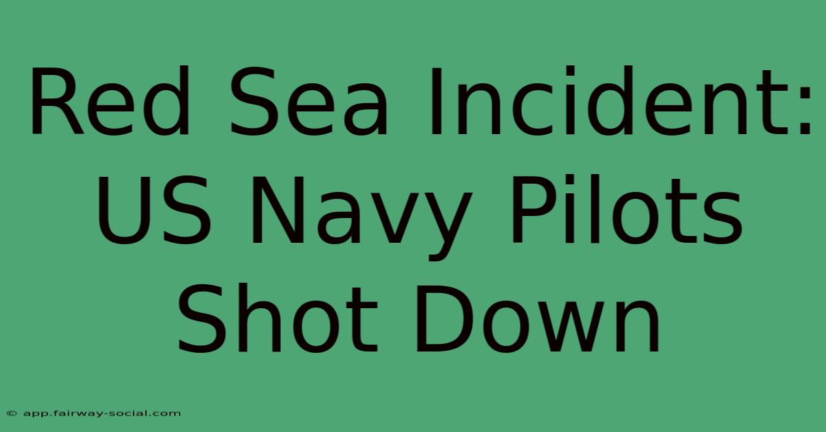 Red Sea Incident: US Navy Pilots Shot Down