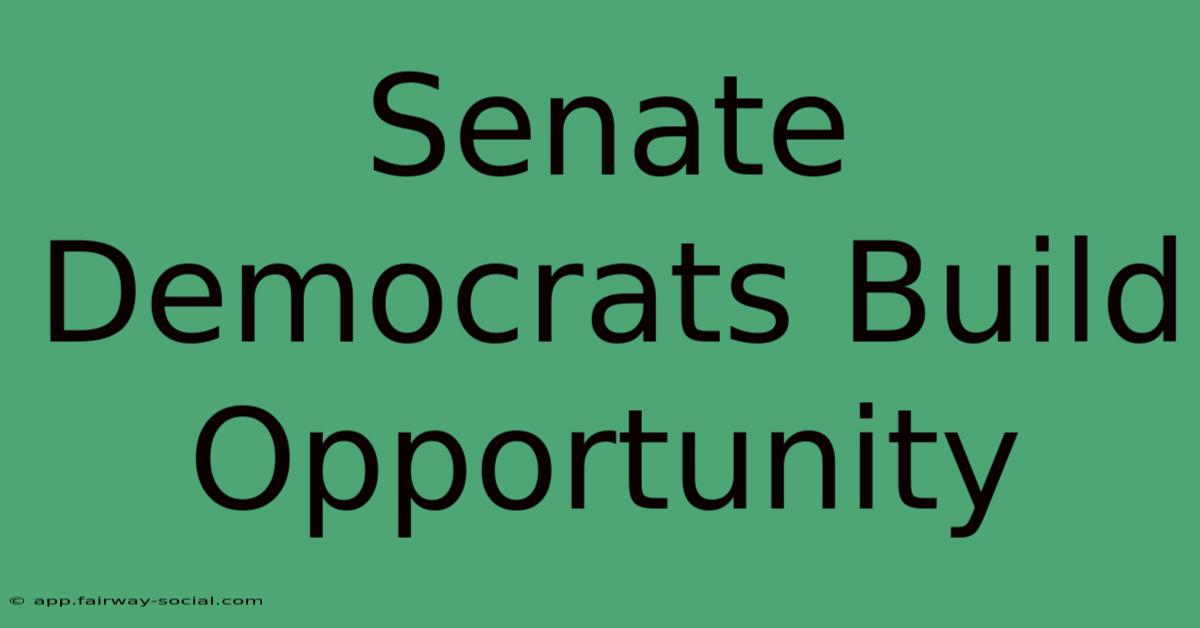 Senate Democrats Build Opportunity