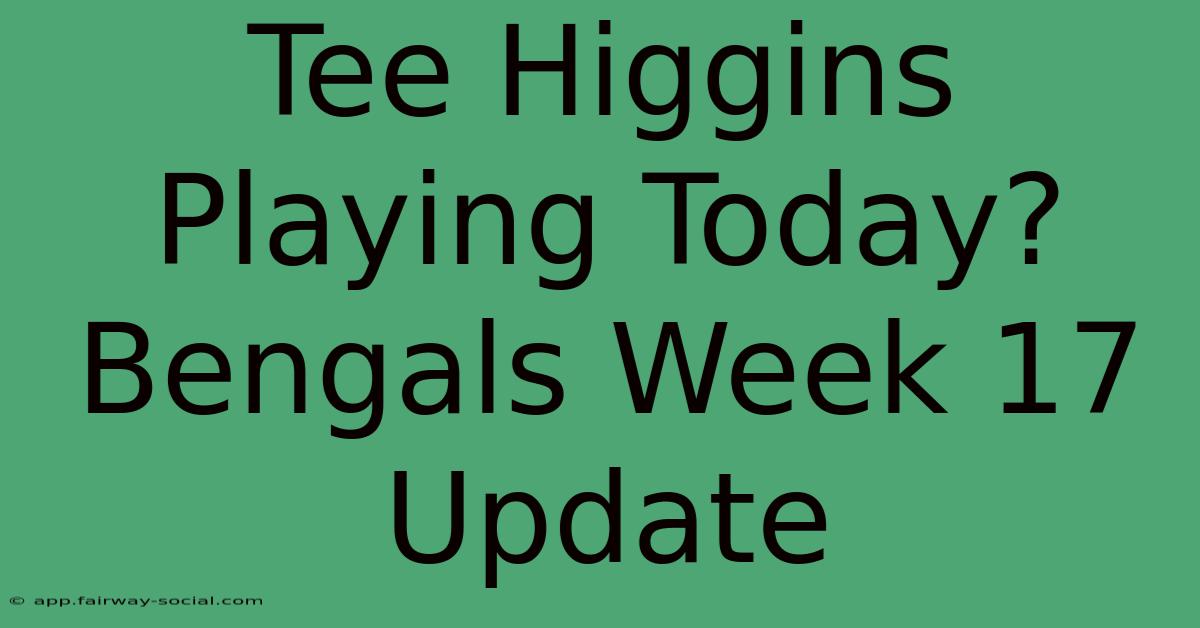 Tee Higgins Playing Today? Bengals Week 17 Update