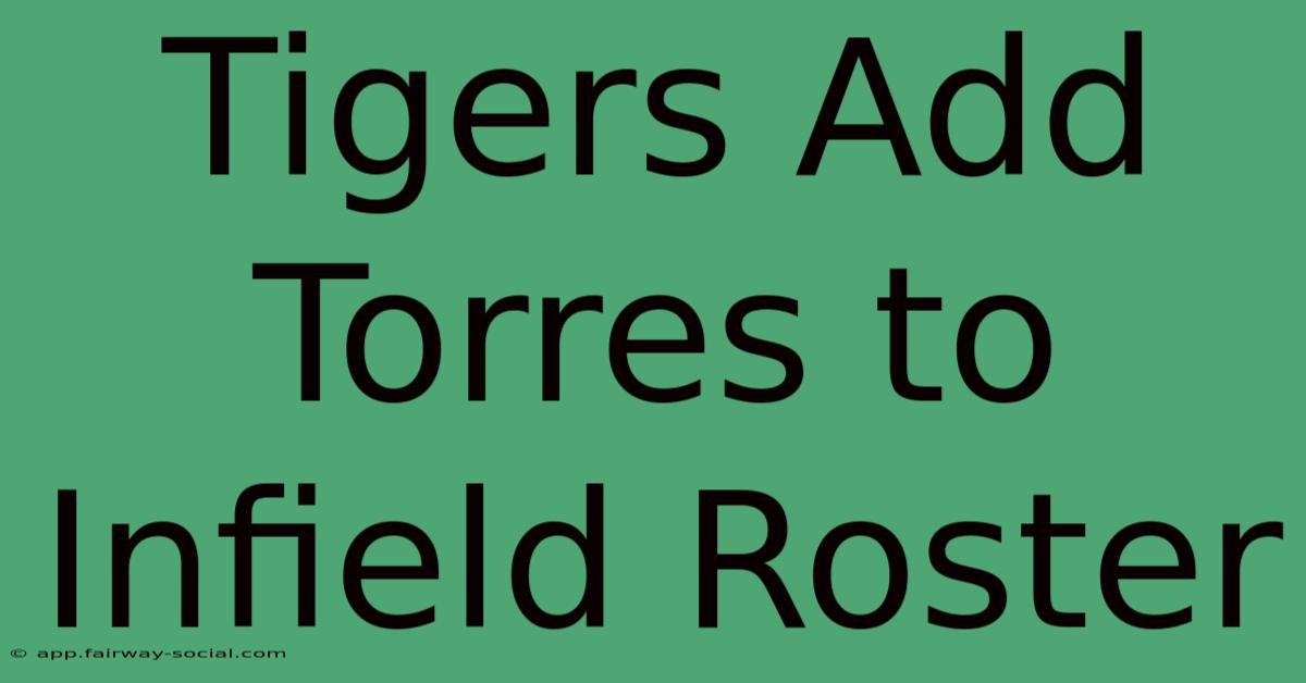 Tigers Add Torres To Infield Roster