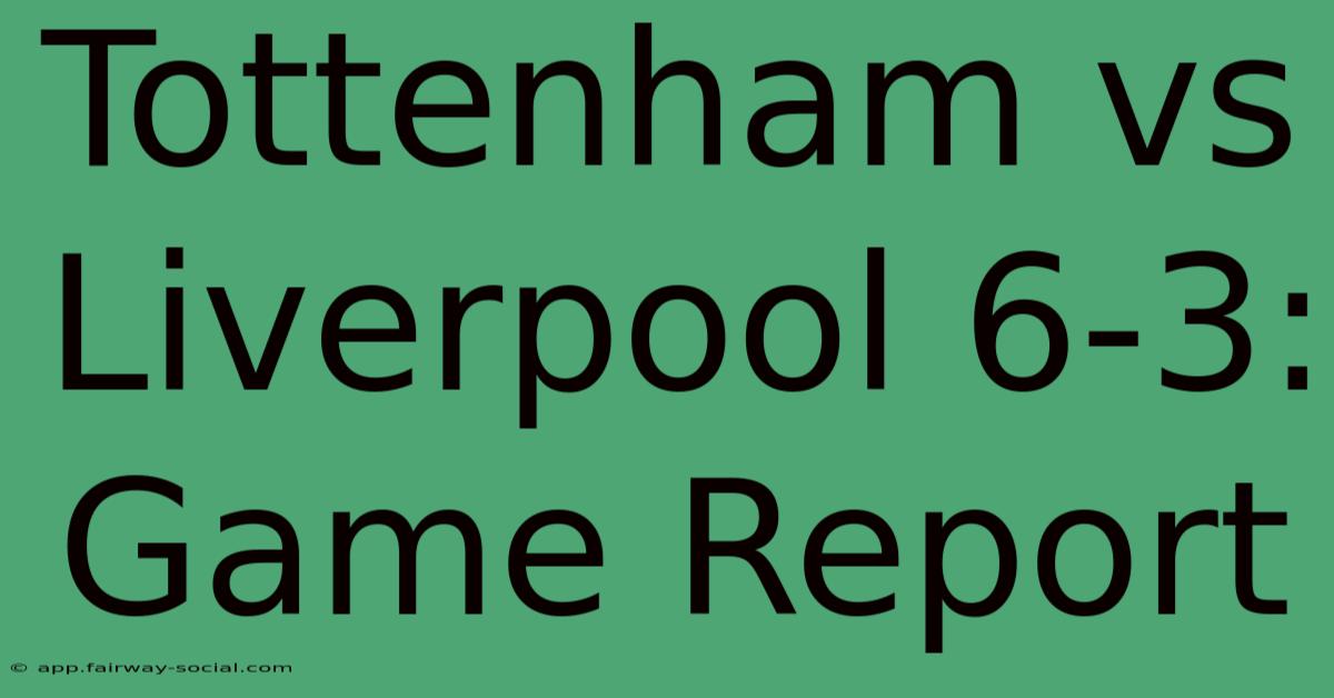 Tottenham Vs Liverpool 6-3: Game Report