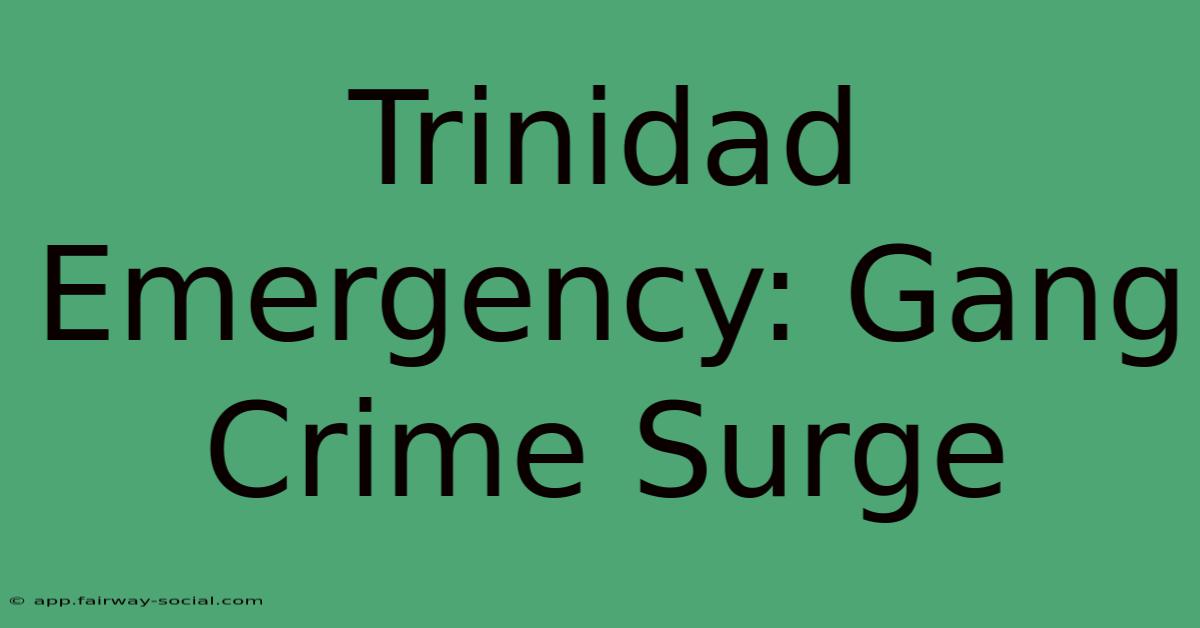 Trinidad Emergency: Gang Crime Surge