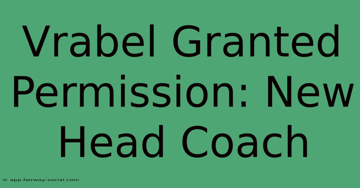 Vrabel Granted Permission: New Head Coach