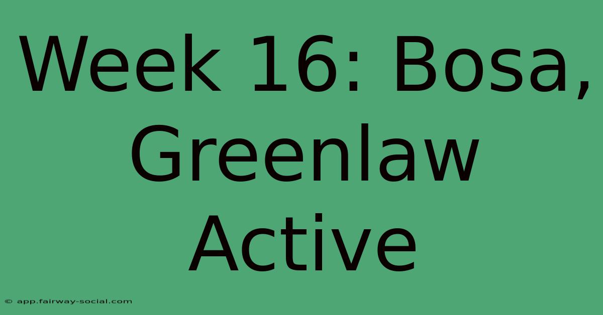 Week 16: Bosa, Greenlaw Active