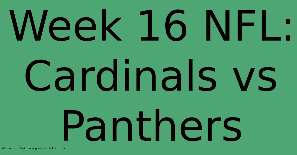 Week 16 NFL: Cardinals Vs Panthers